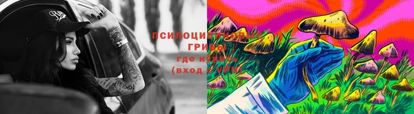 спайс Михайлов