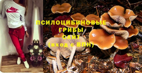 молекула духа Аркадак