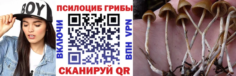 Псилоцибиновые грибы Cubensis  OMG ONION  нарко площадка формула  Сосенский 