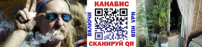 Бошки марихуана гибрид  Сосенский 